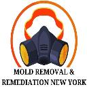 Mold Removal & Remediation New York - Bronx logo